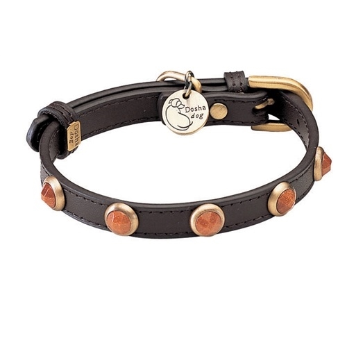 Dog collar fashion with stones